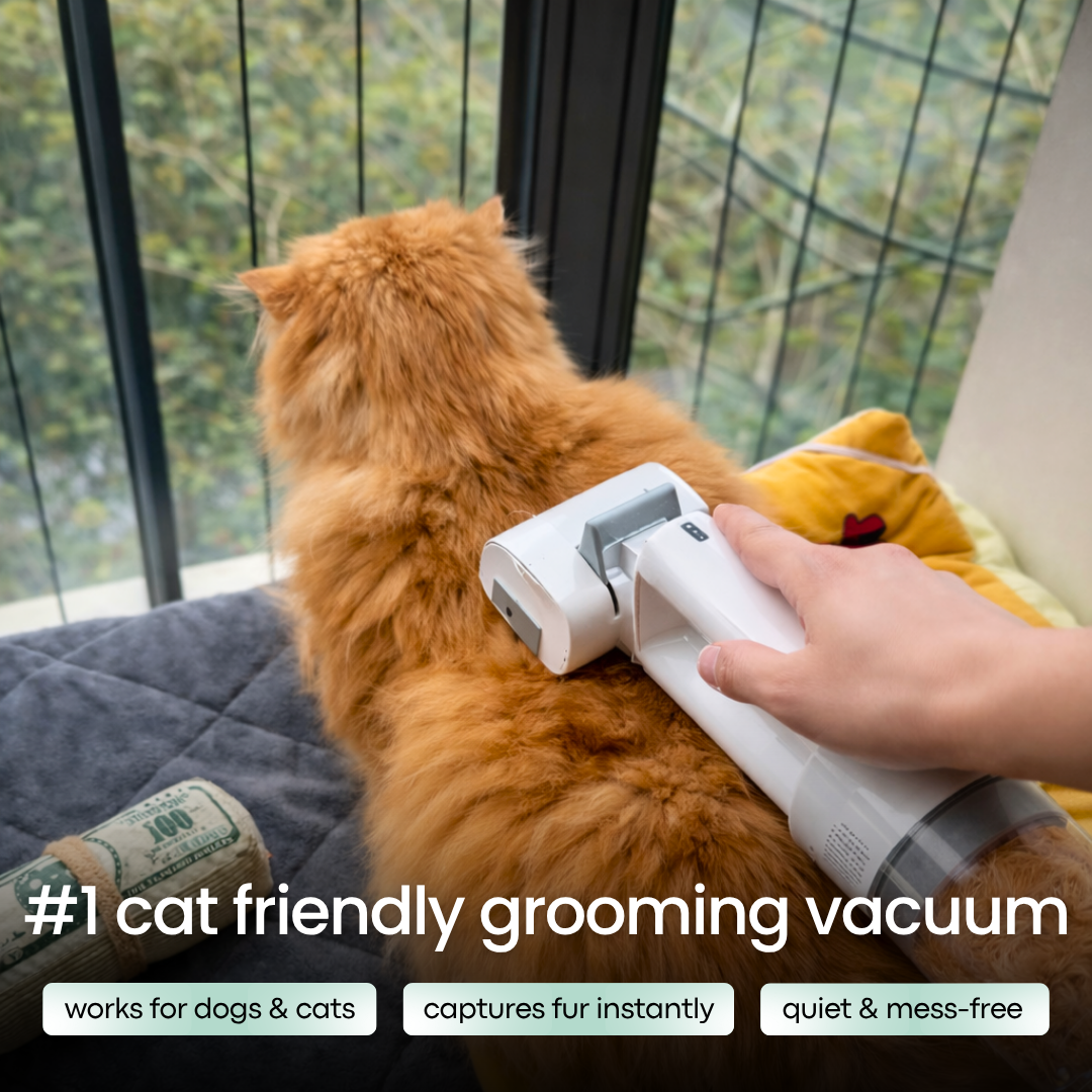 Furly - Cordless Cat Groomer