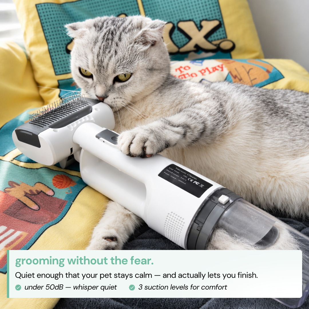 Furly - Cordless Cat Groomer
