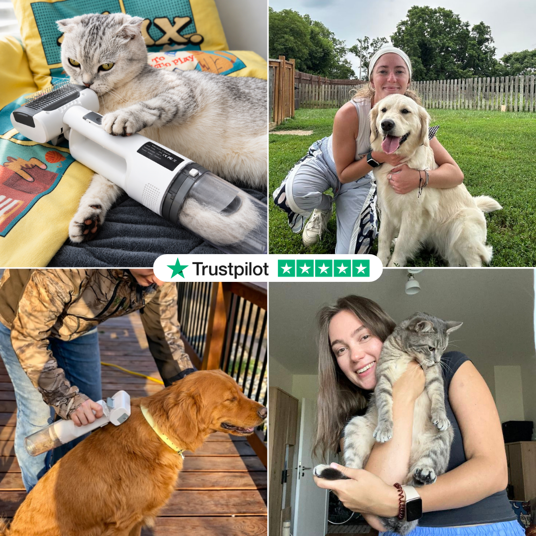 Furly - Cordless Cat Groomer